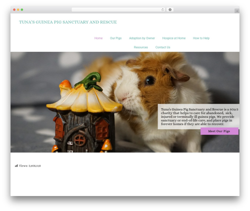 Crio premium WordPress plugin - tunasguineapigrescue.com