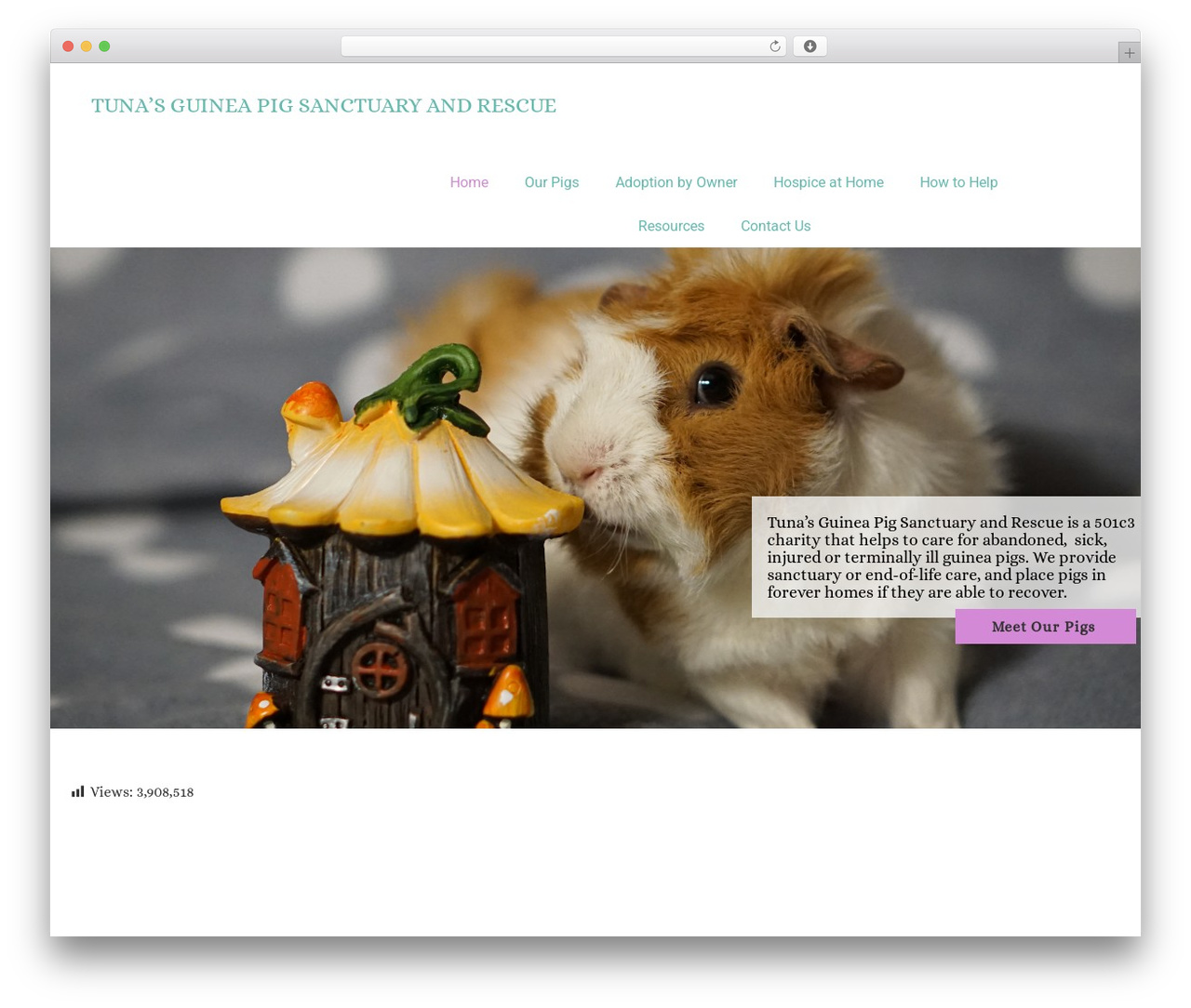 Crio theme WordPress - tunasguineapigrescue.com Crio theme WordPress - tunasguineapigrescue.com