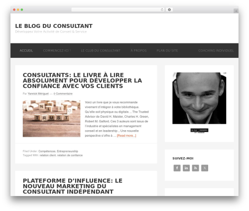 Essb post views WordPress plugin - blog-du-consultant.fr