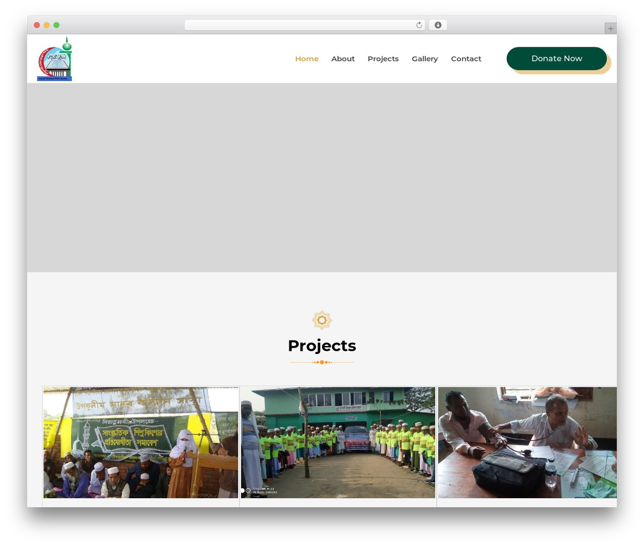 Hello Elementor WordPress theme - chw-society.org