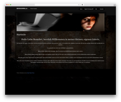 Modularity Lite WordPress theme - hawima.de