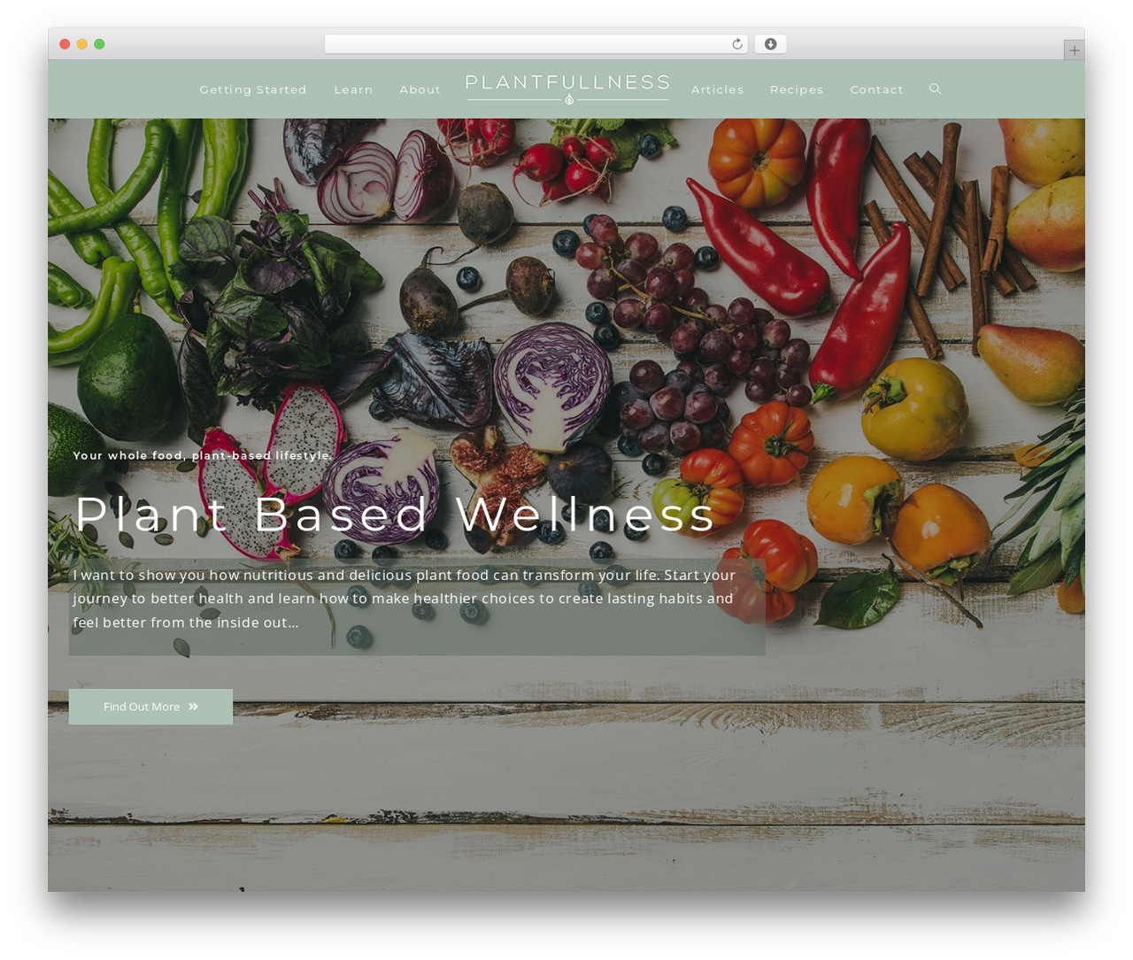 OceanWP WordPress theme - plantfullness.com