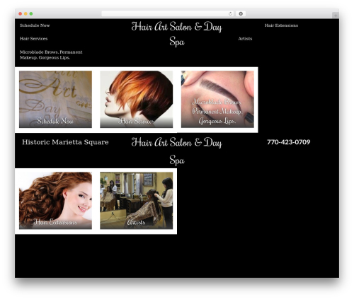 Shootback WordPress theme design - hairartanddayspa.com