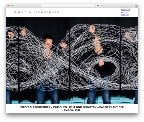 Fancy animations WordPress plugin - birgitpleschberger.com