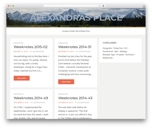 WordPress theme Bezel - alexmevissen.com