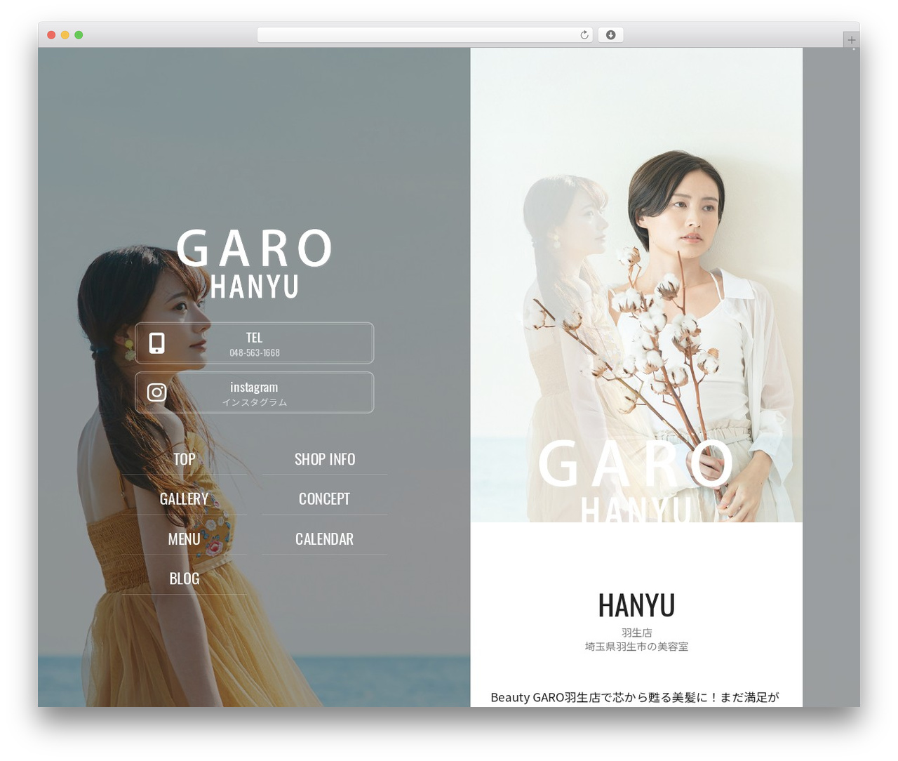 activate_base_theme best WordPress theme - hanyu.garo-hair.com