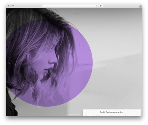 Constructor theme WordPress - ionos-beispiel-04.difm.cloud