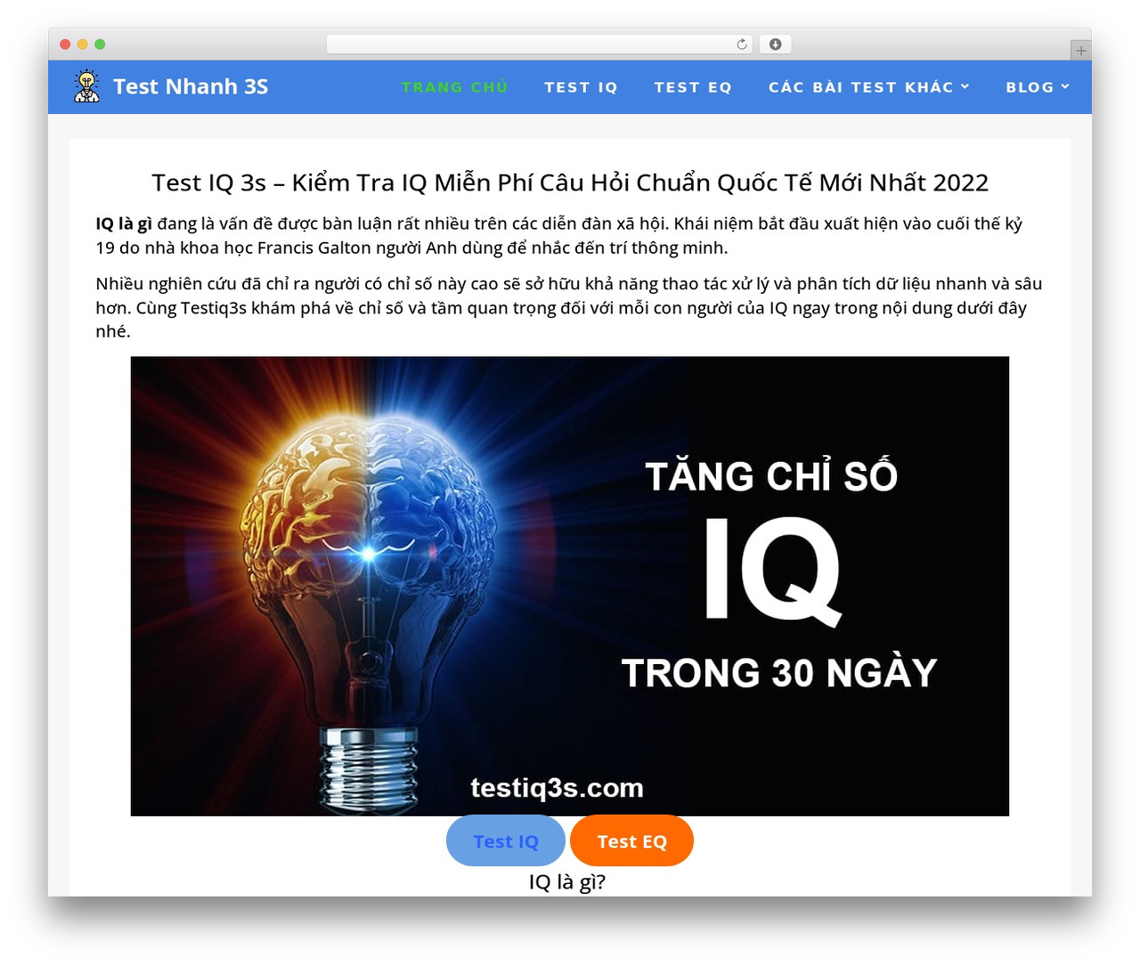 DEV Wordpress best WordPress theme - testiq3s.com