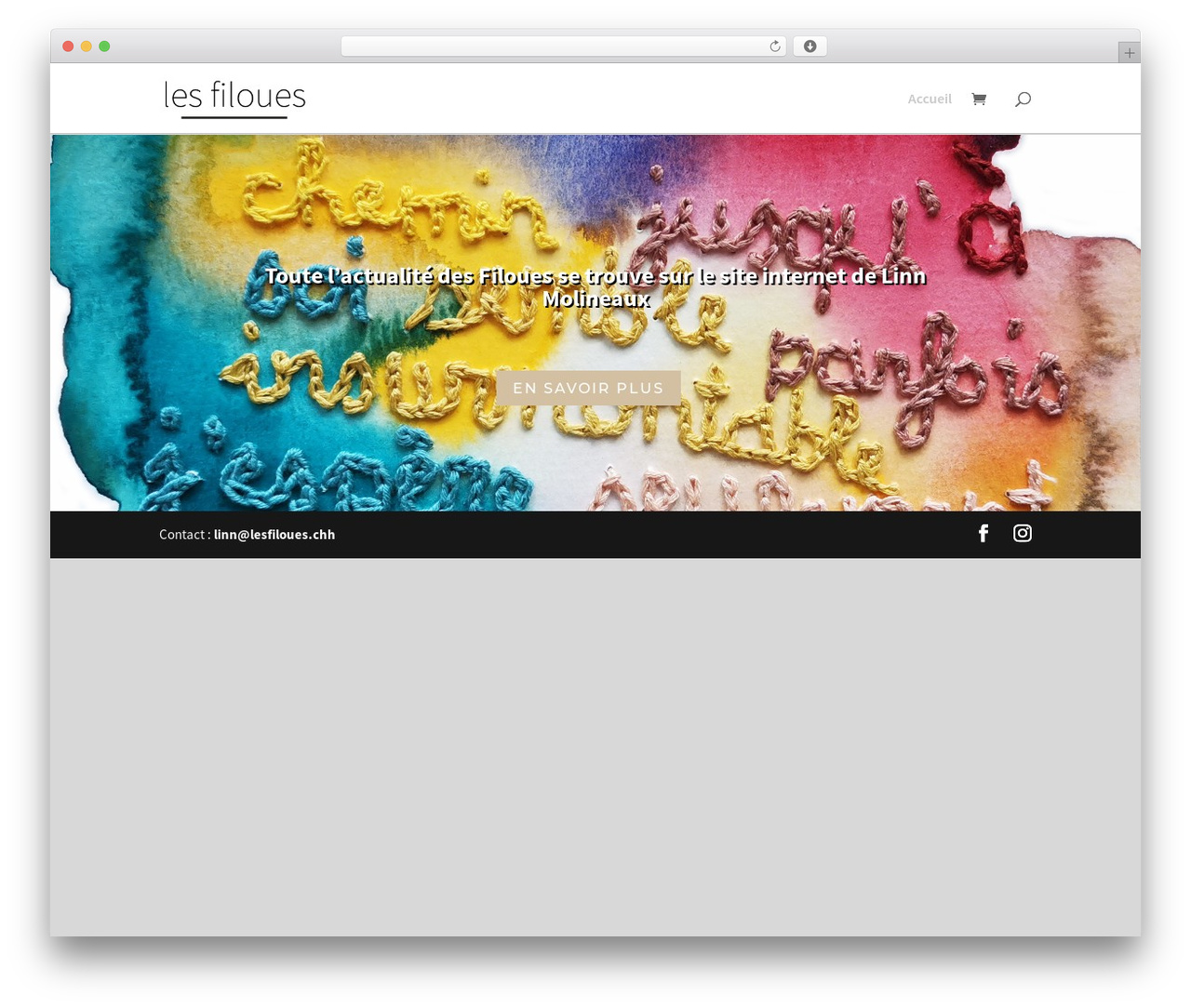 Divi premium WordPress theme - lesfiloues.ch