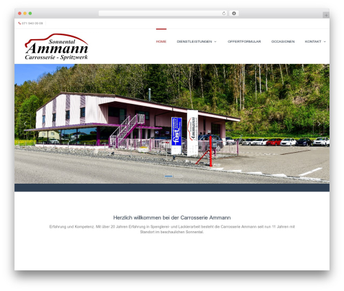 DP Evolve WordPress theme - carrosserie-ammann.ch