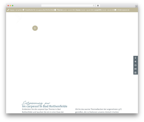 Smashballoon wpchat livechat customer support WordPress plugin - carpesol.de