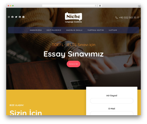 Masterstudy elementor widgets WordPress plugin - nicheakademi.com