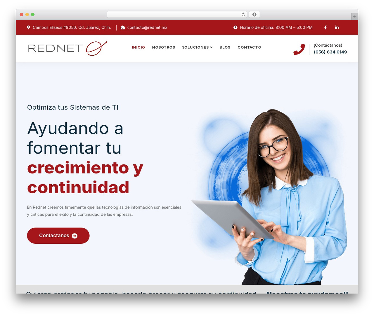 Tanda WordPress page theme - rednet.mx