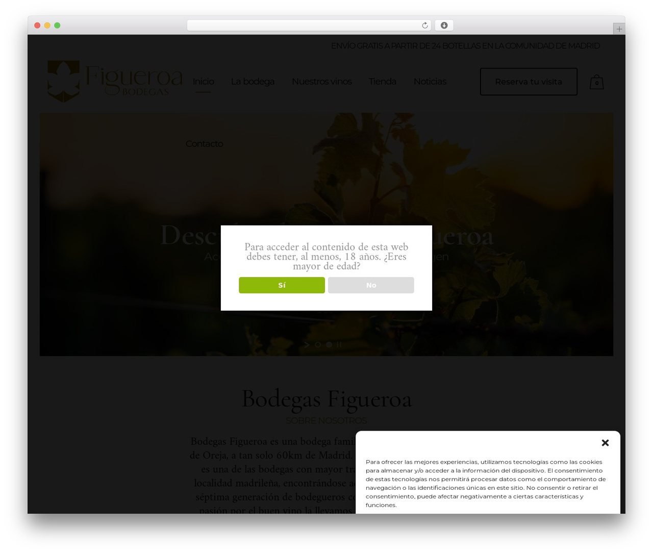 Theme WordPress Bridge - bodegasfigueroa.com