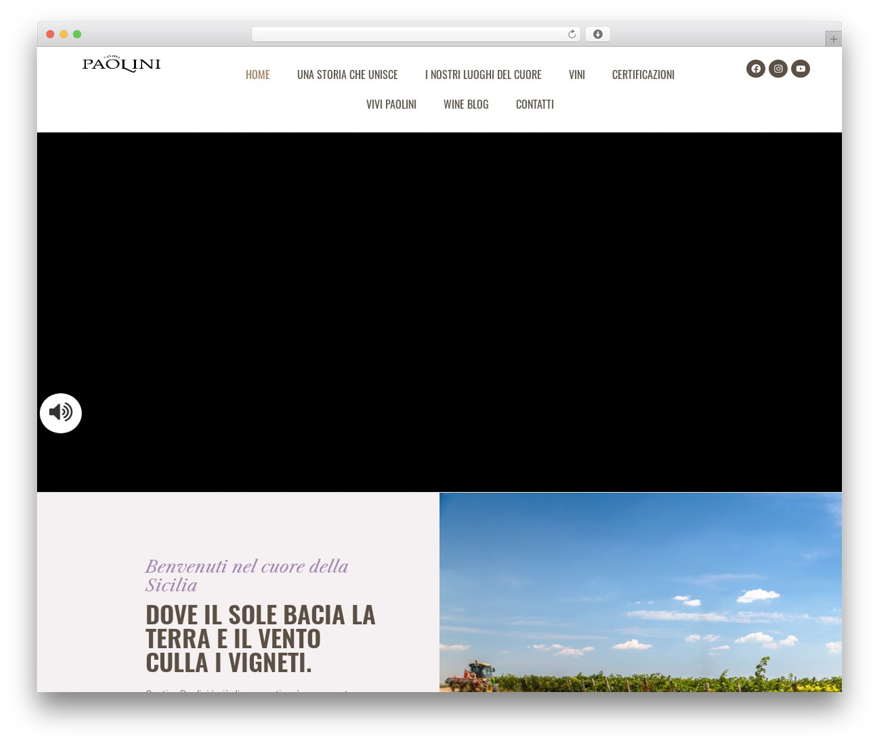 Theme WordPress Kowine - cantinepaolini.it