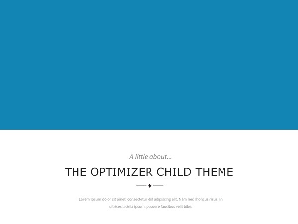 WordPress theme Optimizer Child Theme by Andreas
