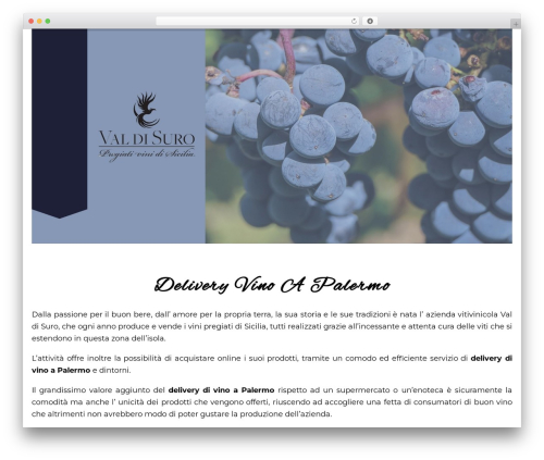 WordPress theme Template (Elementor) - valdisurovini.it