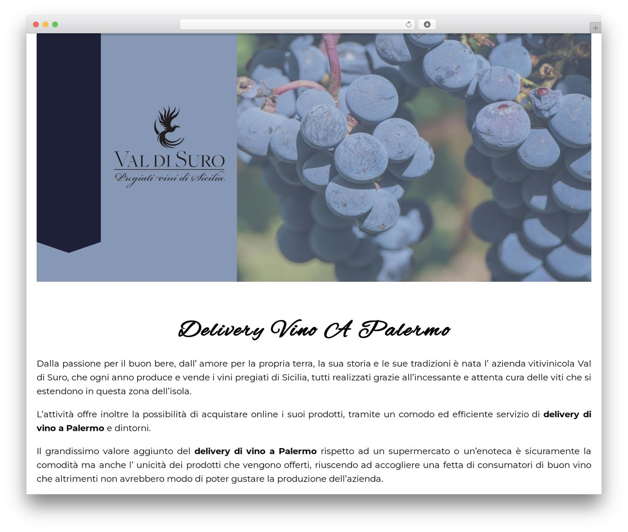 WordPress theme Template (Elementor) - valdisurovini.it