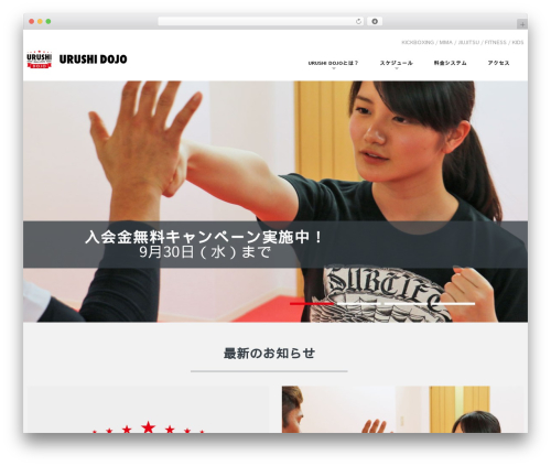 cherry WordPress theme - urushidojo.com