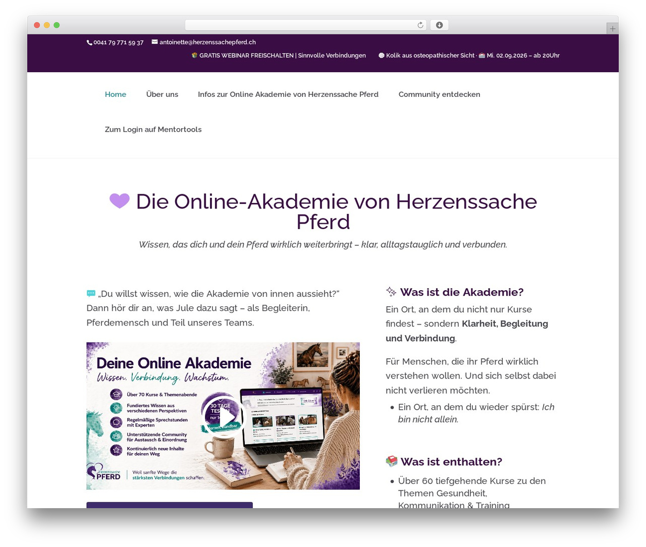 Divi WordPress theme - herzenssachepferd.ch