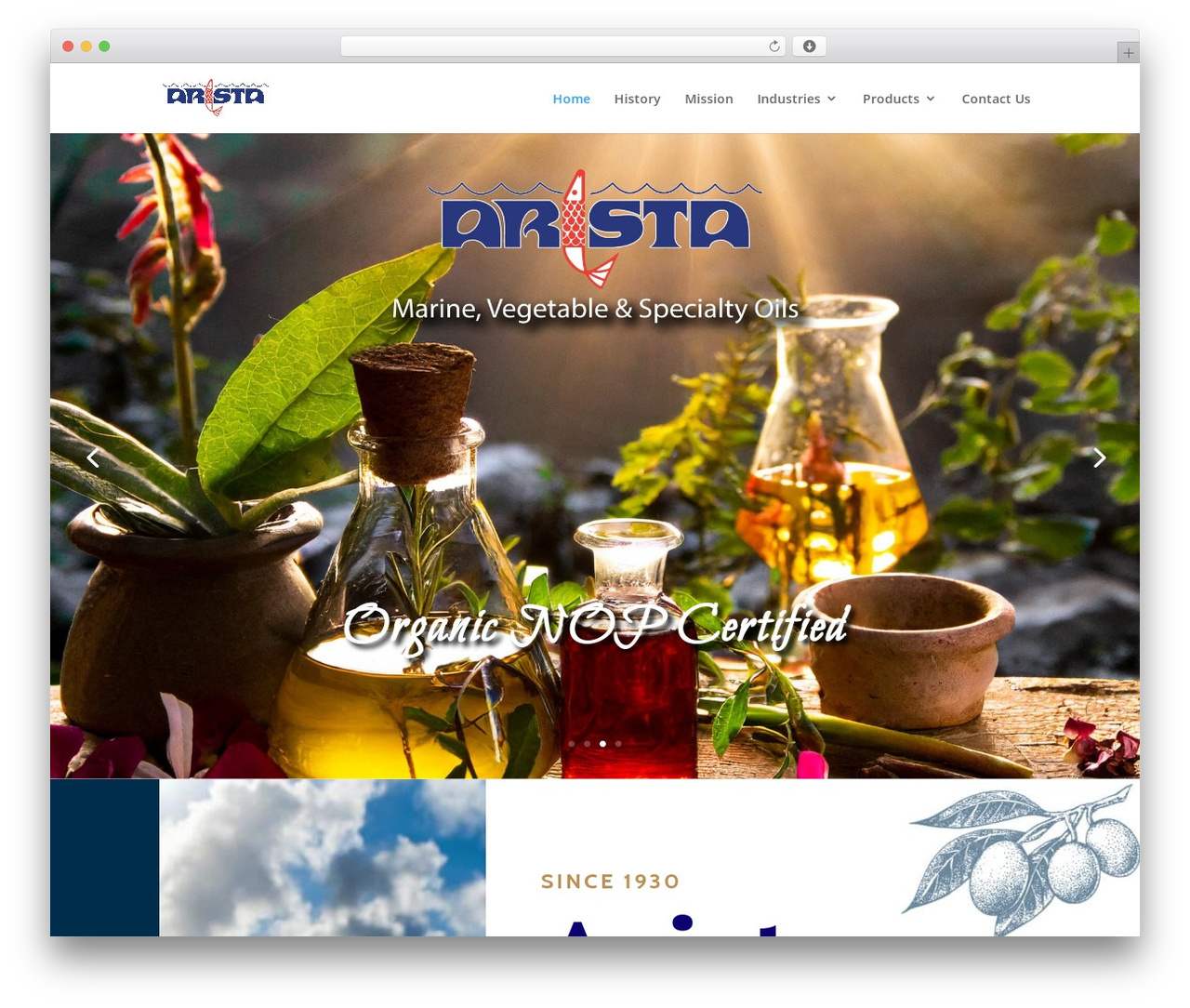 Divi WordPress theme - aristaindustries.com Divi WordPress theme - aristaindustries.com