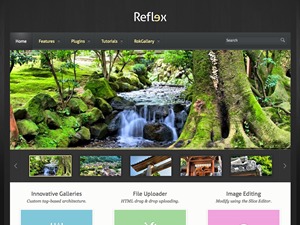 Reflex WordPress theme Reflex WordPress theme