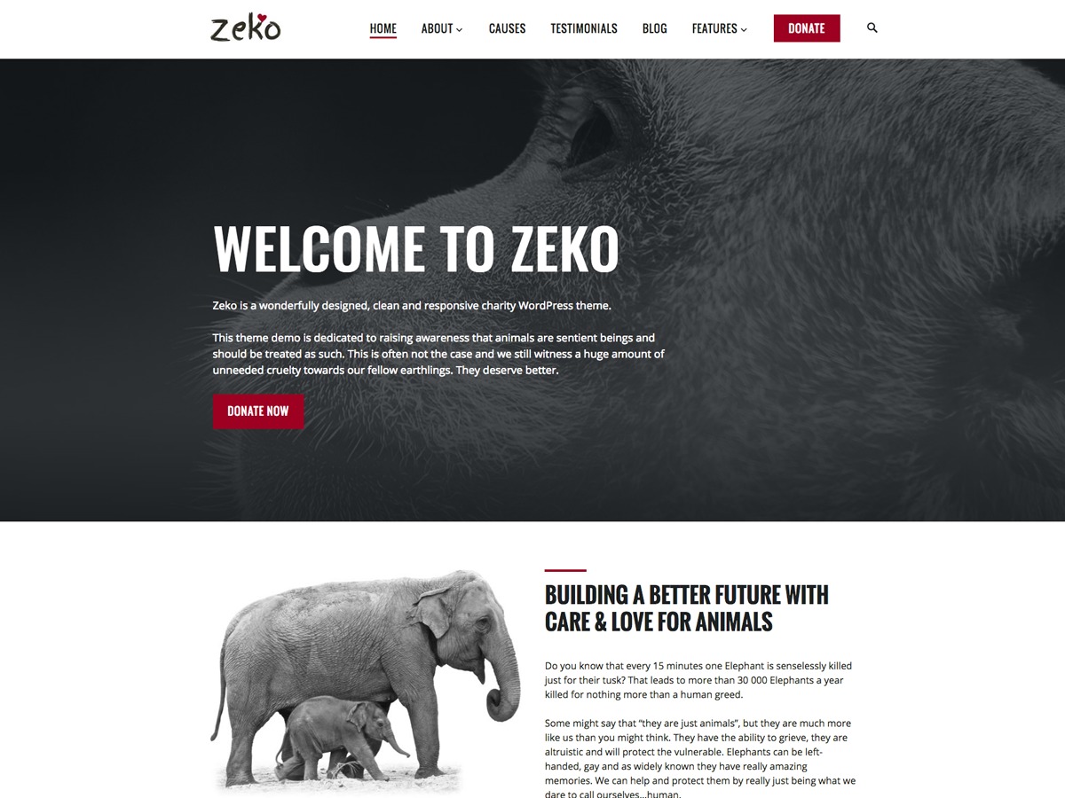 Theme WordPress Zeko
