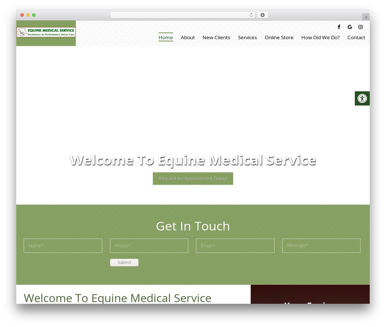Theme WordPress Parent Theme - emsvet.com