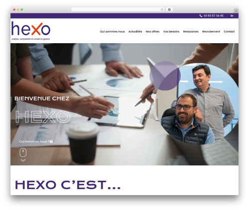 Octets fd plugin articles e et d WordPress plugin - hexo-conseil.fr