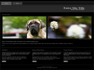 henry WP theme by Templaza