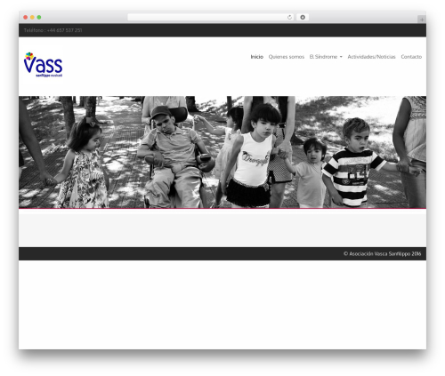 Medi WordPress theme - sanfilippo.eus