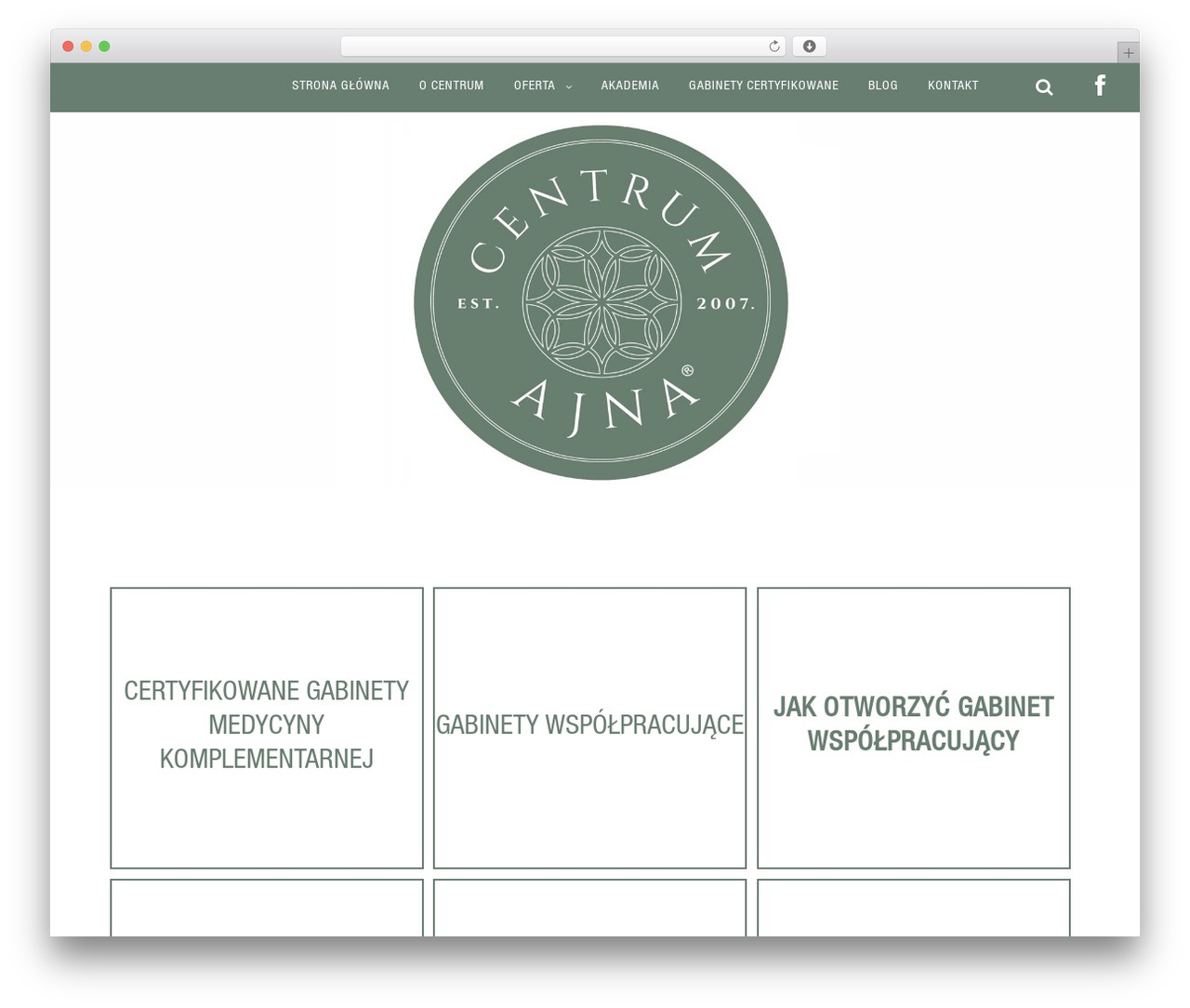 Shapely WordPress theme design - centrumajna.pl