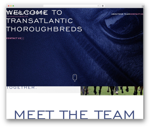 Theme WordPress CBQ Starter Theme - transatlanticthoroughbreds.com
