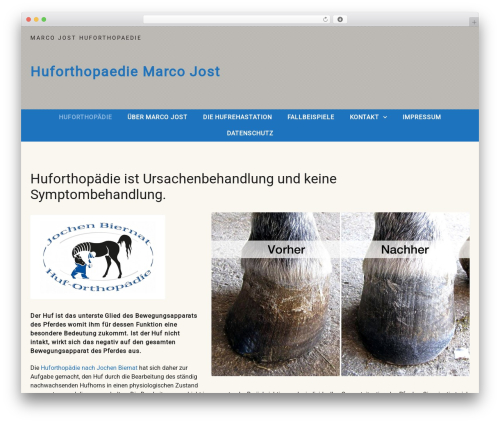 Curly extension WordPress plugin - huforthopaedie.eu