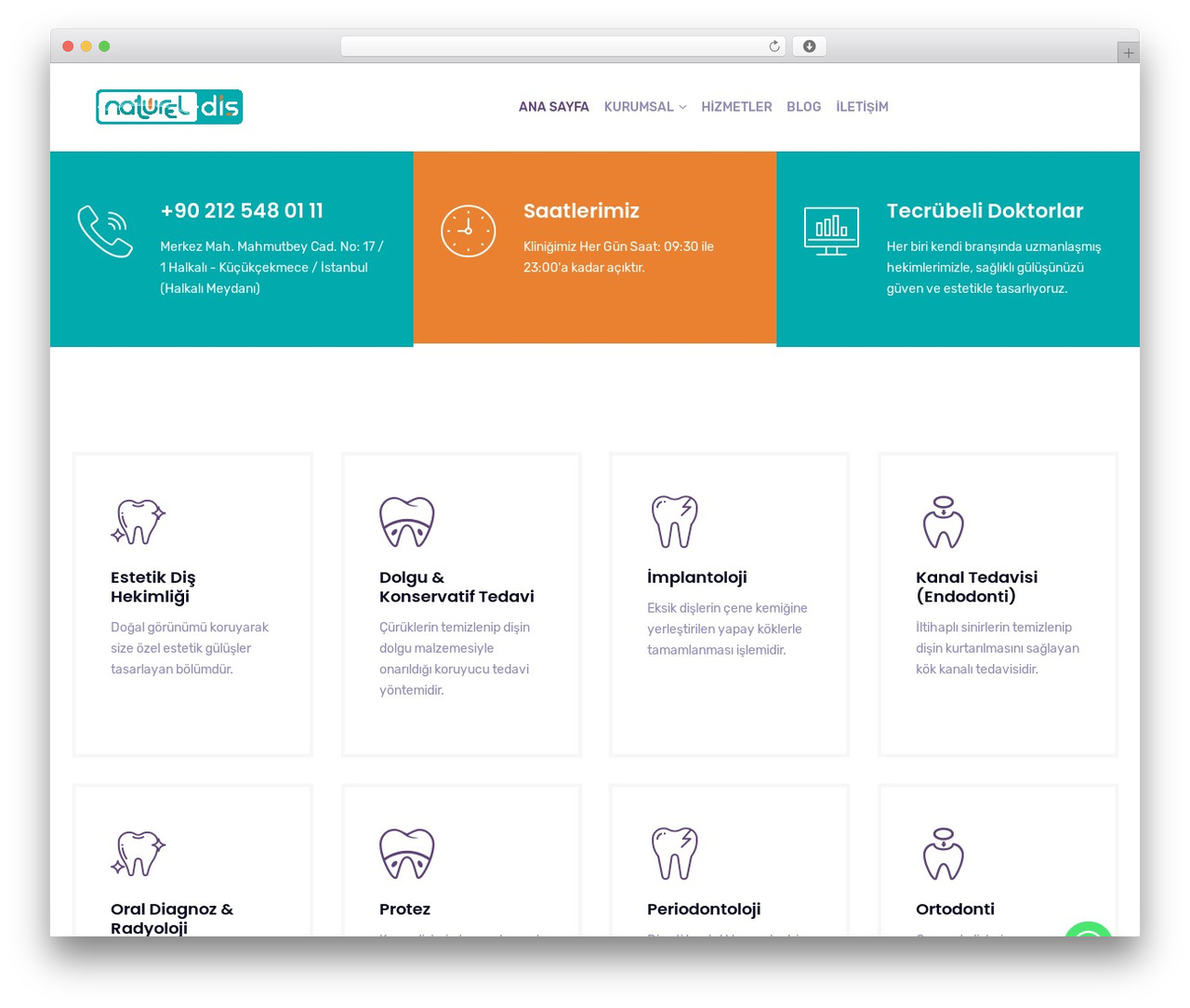 Timan WordPress theme - natureldis.com