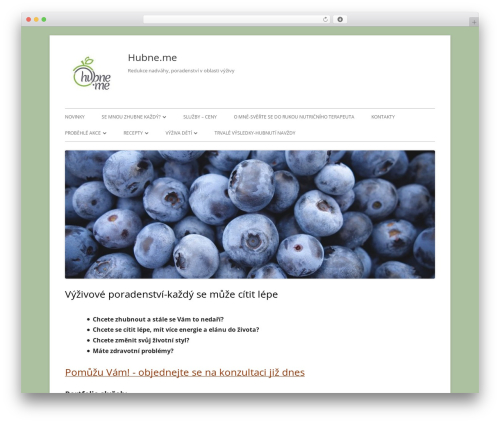 Tiny Framework WordPress theme free download - hubne.me Tiny Framework WordPress theme free download - hubne.me