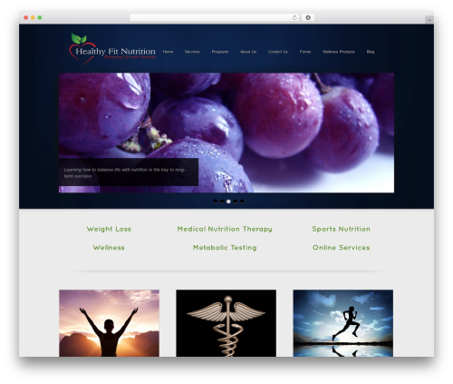 WordPress theme Pleng - healthyfitnutrition.org