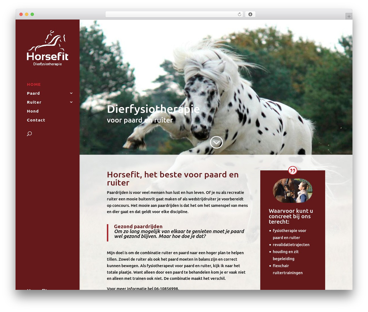 Divi WordPress theme - horsefit.nl