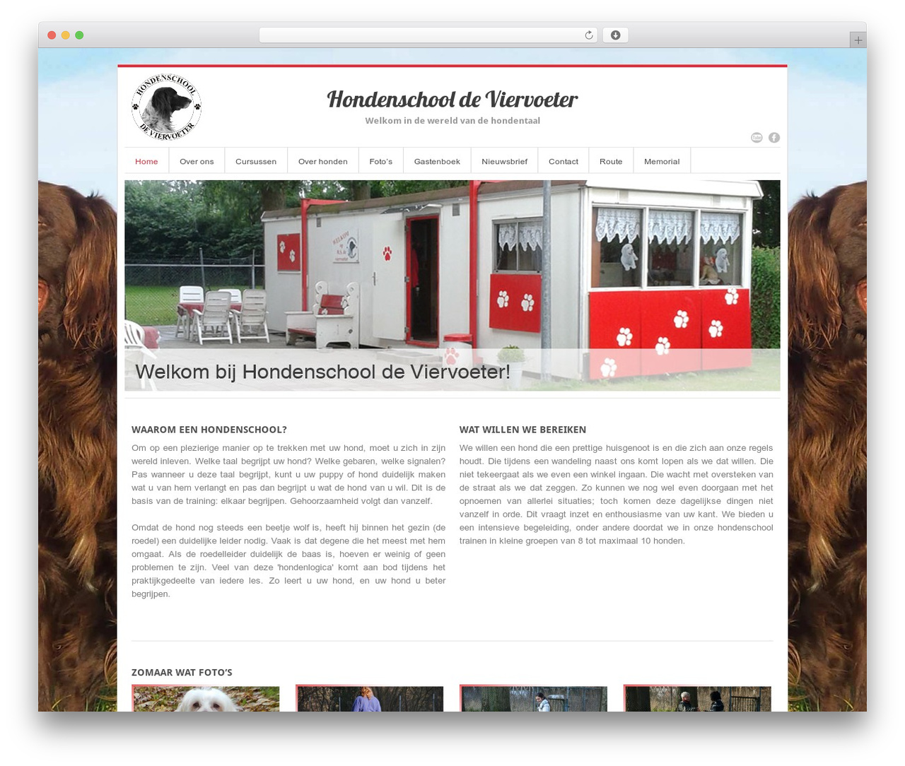 InterStellar WP theme - hsdeviervoeter.nl InterStellar WP theme - hsdeviervoeter.nl