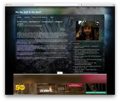 Pixel theme WordPress - hayrettindagci.com