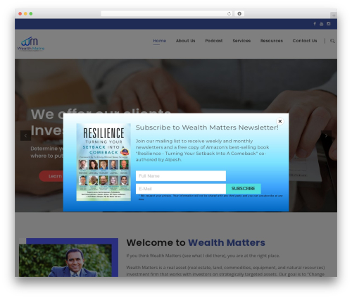 Ranbron WordPress theme design - wealthmatrs.com
