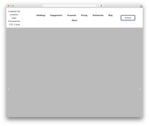 Stackable WordPress theme for photographers - anya-dan.com