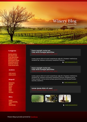 WordPress theme 628 WordPress theme