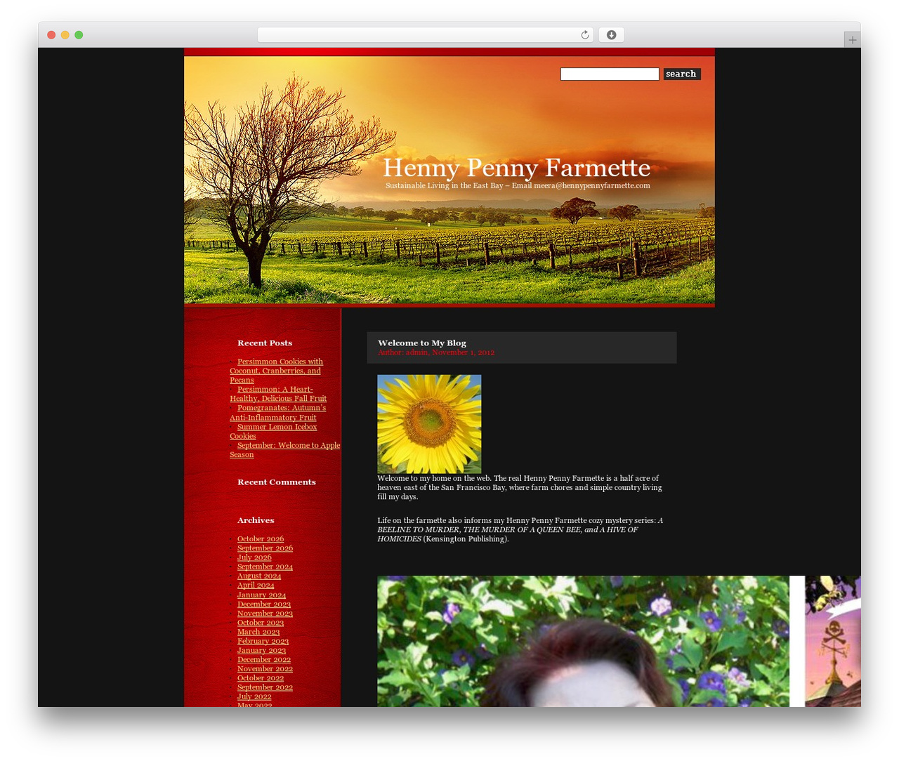 WordPress theme 628 WordPress theme - hennypennyfarmette.com