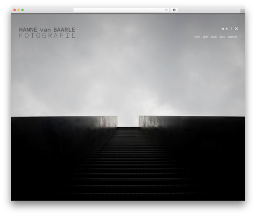WP theme Reframe - hannevanbaarle.com
