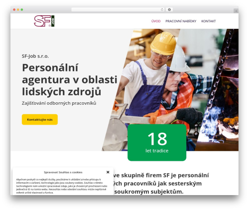 Best WordPress theme Divi - sfjob-cz.cz