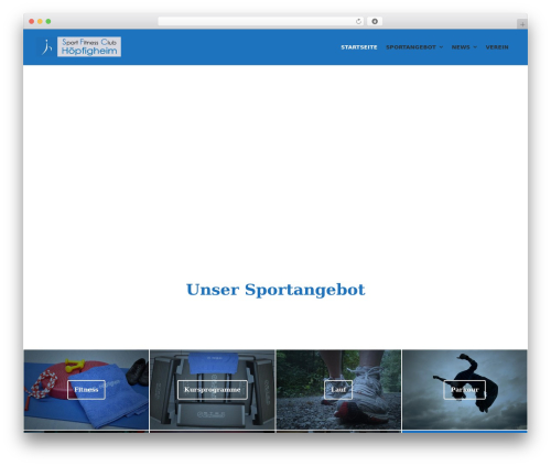 Create premium WordPress theme - sfc-hoepfigheim.de
