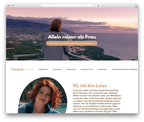 Elipsa core WordPress plugin - falubeli.com