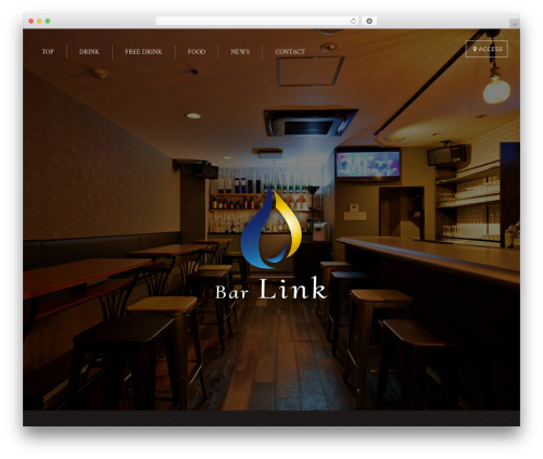 LIQUEUR WP theme - bar-link.com