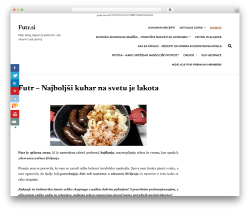 nutmeg theme WordPress - futr.si